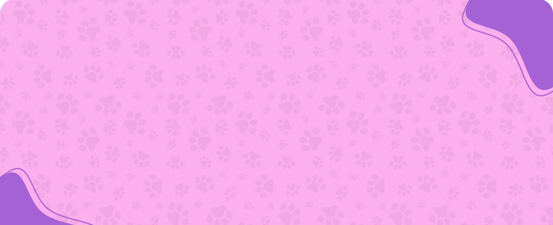 collection-banner-image